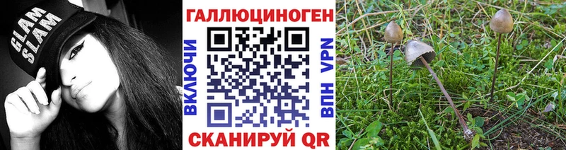 Галлюциногенные грибы GOLDEN TEACHER  купить наркоту  нарко площадка наркотические препараты  Удачный 